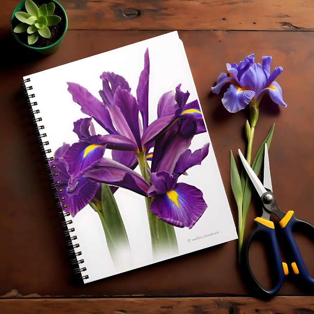 Caderno Espiral Incrível Flor De Sensação De Roxo Iris Neerlandesa (Stunning Dutch Iris Purple Sensation Journal Cover Photo)