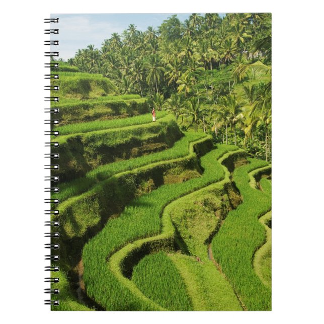 Caderno Espiral Indonésia, Bali| Paddies De Arroz (Frente)