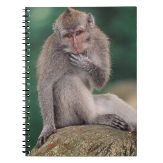 Caderno Espiral Indonésia, Bali, Ubud, Macaco-de-cauda-longa (Frente)