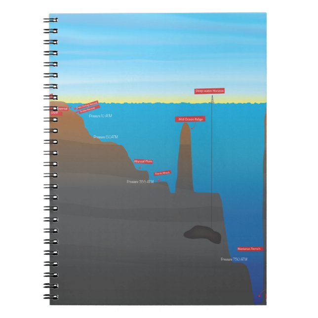 Caderno Espiral infográfico (Frente)