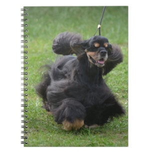 Caderno Espiral Inglês bonito cocker spaniel