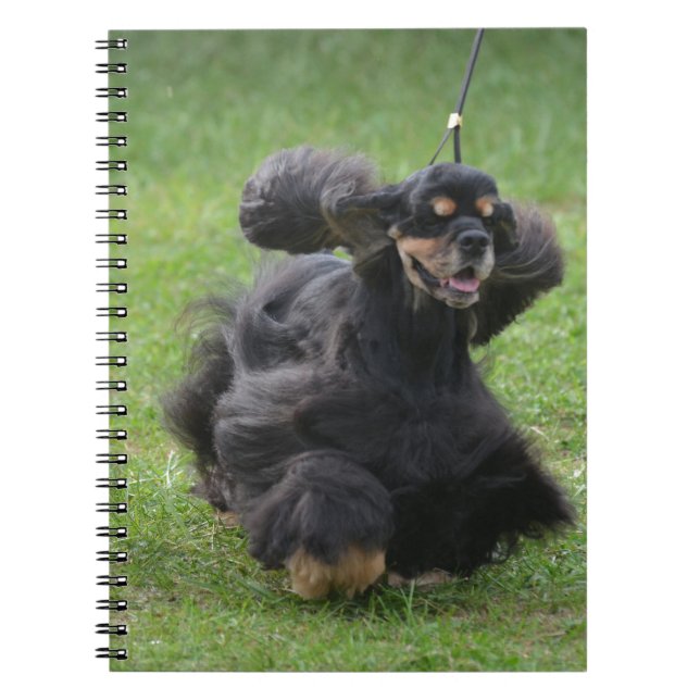 Caderno Espiral Inglês bonito cocker spaniel (Frente)