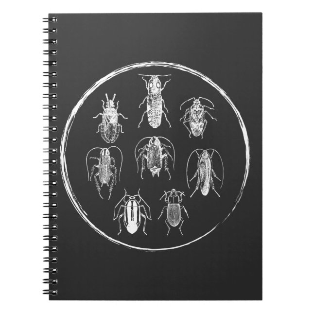 Caderno Espiral Inseto Coletor Natureza Entomologia Insetos Gráfic (Frente)