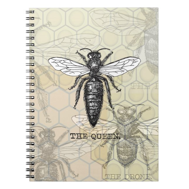 Caderno Espiral Inseto do Inseto de Ilustração da Rainha Bee (Frente)
