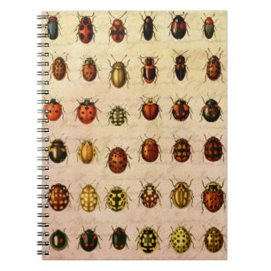 Caderno Espiral Inseto do Inseto Ladybug Ladybird Beetle