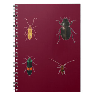 Caderno Espiral Insetos 2011
