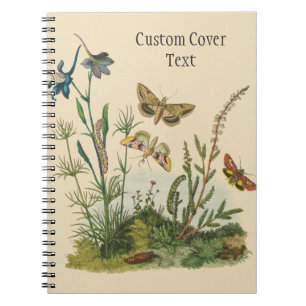 Caderno Espiral Insetos de Jardim Antigos, Borboletas, Lagartas