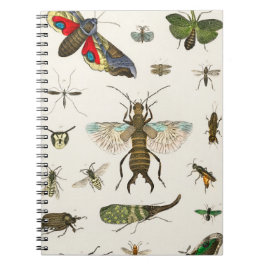 Caderno Espiral insetos de Uma história da Terra