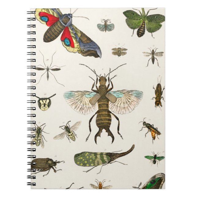 Caderno Espiral insetos de Uma história da Terra (Frente)