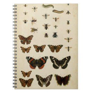 Caderno Espiral Insetos do Jardim pelo Vision Studio