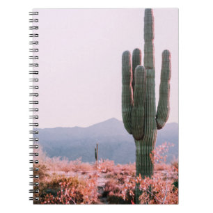 CADERNO ESPIRAL INSTALAÇÃO DE CACTUS BESIDE ORANGE LEAFED