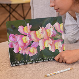 Caderno Espiral Instantâneos cor-de-rosa e amarelos Floral