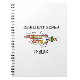 Caderno Espiral Interior resiliente dos genes (réplica do ADN)
