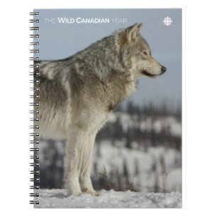 Caderno Espiral Inverno - Lobo