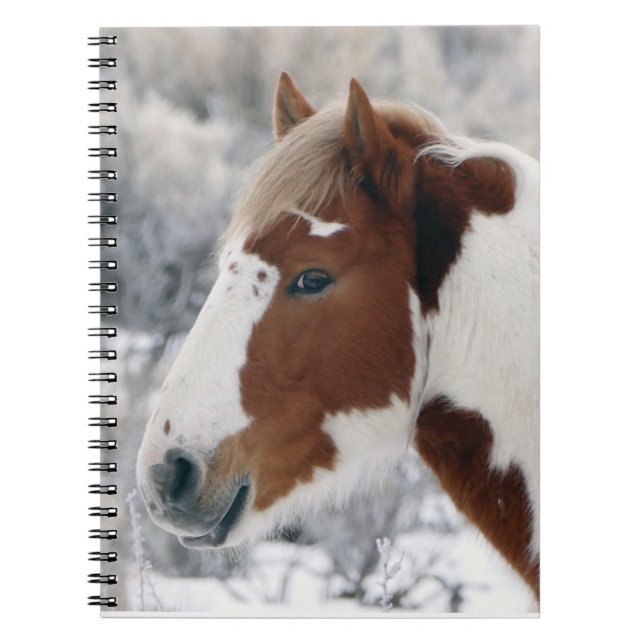 Caderno Espiral Inverno na bacia de lavagem da areia (Frente)