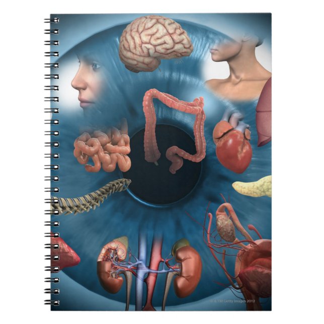 Caderno Espiral Iridologia (Frente)