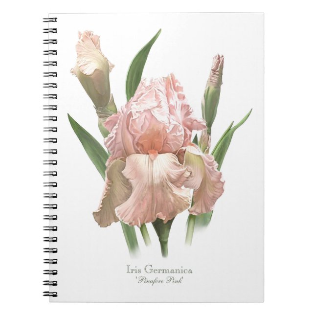 Caderno Espiral Íris Barbada Rosa (Frente)
