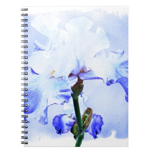 Caderno Espiral Íris Com Mancas - Azul E Branco (Frente)