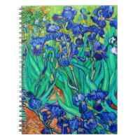 Írises Arte Botânica Vincent Van Gogh espiral