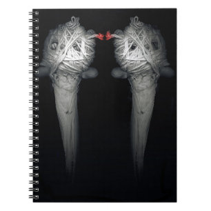 Caderno Espiral Irmãos 2013