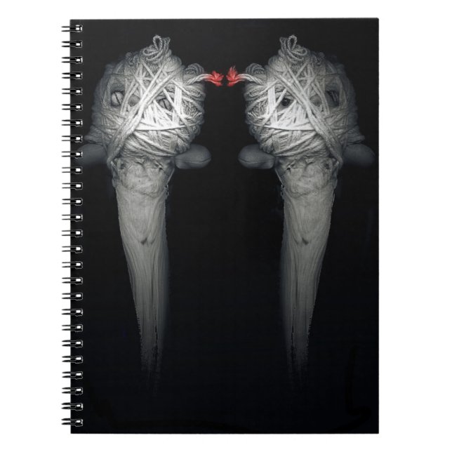 Caderno Espiral Irmãos 2013 (Frente)