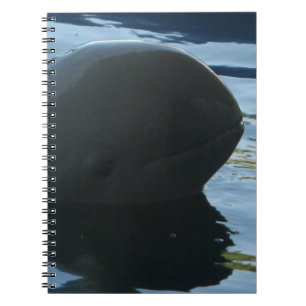 Caderno Espiral Irrawaddy Dolphin Peek-A-Boo