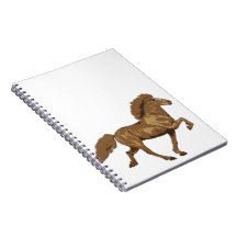 Islandês dos anos 30