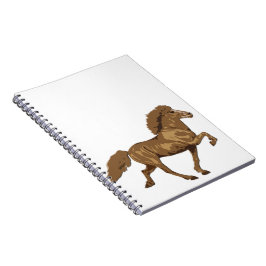 Caderno Espiral Islandês dos anos 30