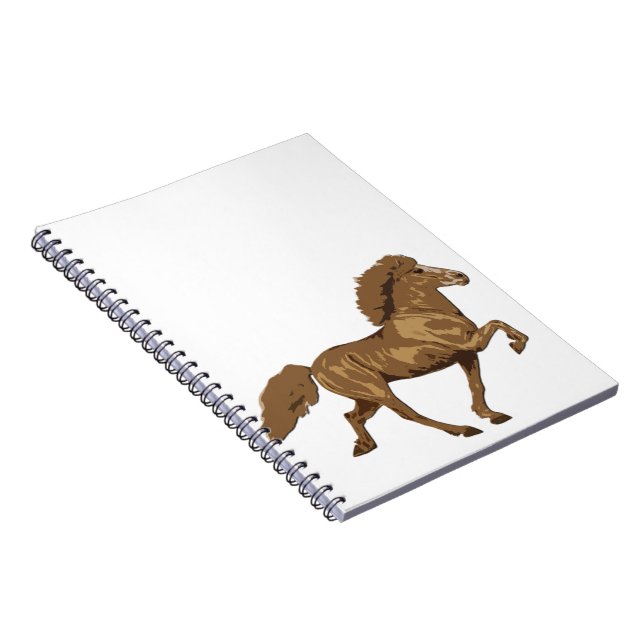 Caderno Espiral Islandês dos anos 30 (Lado Direito)