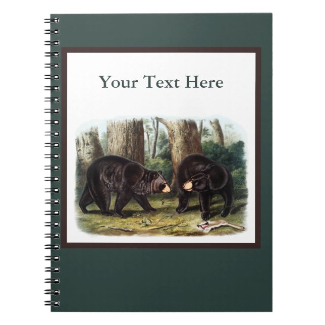 Caderno Espiral J.W. Audubon - Ursus Americanus Black Bear (Frente)