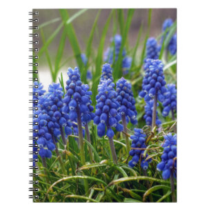 Caderno Espiral Jacinto de uva