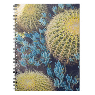 Caderno Espiral Jardim Boho Cactus