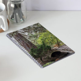 Caderno Espiral Jardim Botânico Japonês Tranquilo