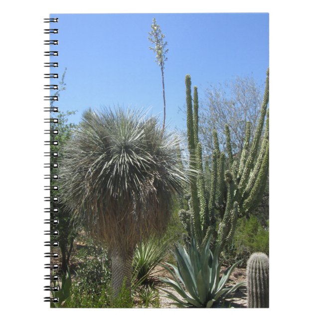 Caderno Espiral Jardim Cactus (Frente)
