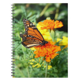 Caderno Espiral Jardim de Borboletas e Flores de Marigold