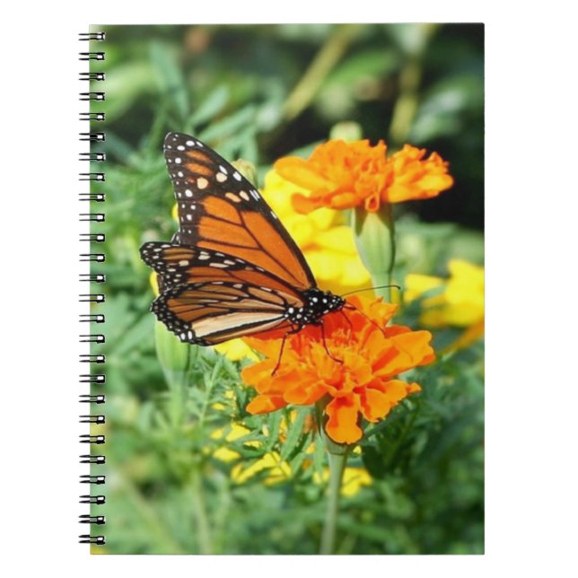 Caderno Espiral Jardim de Borboletas e Flores de Marigold (Frente)