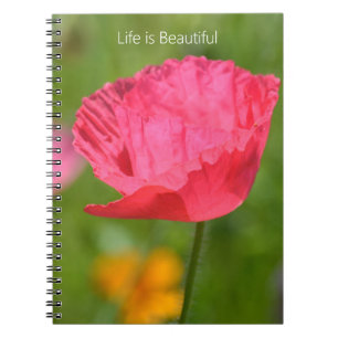 Caderno Espiral Jardim de Flores Papoula da Islândia Rosa (minha f