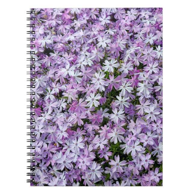 Caderno Espiral Jardim de Phlox Roxo (Frente)
