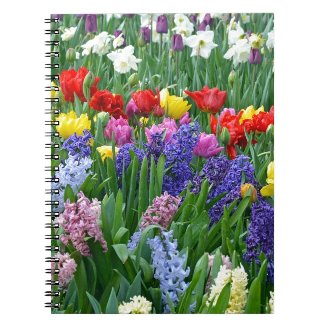 Caderno Espiral Jardim de primavera colorida (Frente)