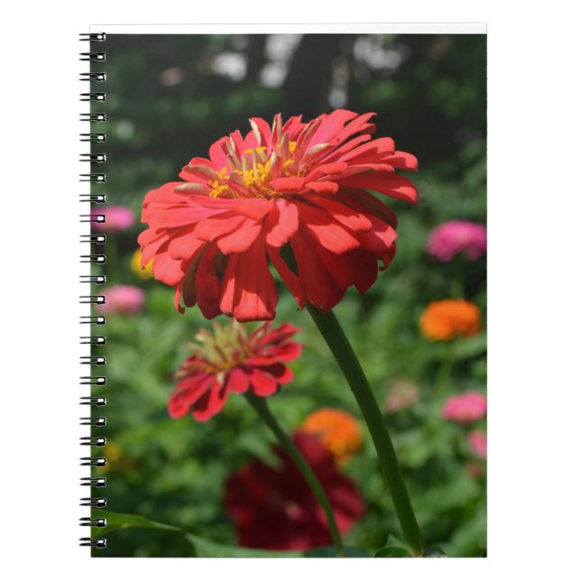 Caderno Espiral Jardim floral de laranja vermelho-elegante (Frente)