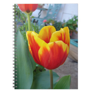 Caderno Espiral Jardim Floral de Tulipas Vermelhas e Amarelas Foto