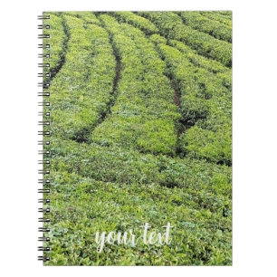 Caderno Espiral Jardins de chá de Munnar em
