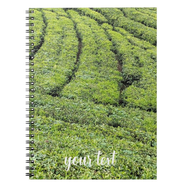 Caderno Espiral Jardins de chá de Munnar em  (Frente)