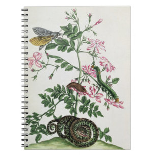 Caderno Espiral Jasmim: com cobra, traça, caterpiller e chrysal