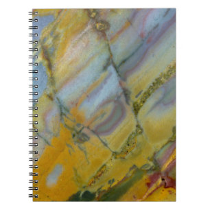 Caderno Espiral Jaspe Crayola Colorido