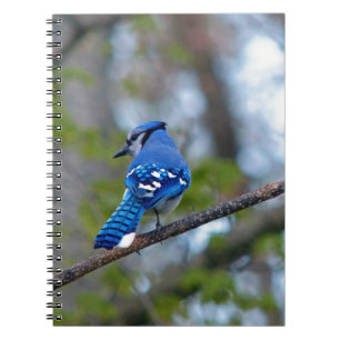 Caderno Espiral Jay Azul