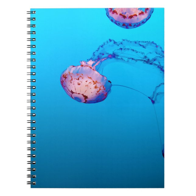 CADERNO ESPIRAL JELLY PESCA SUBÁGUA (Frente)