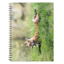 Caderno Espiral Jogo do Fox vermelho