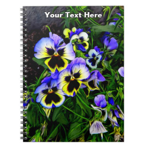 Caderno Espiral Johnny Jump Up