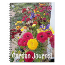 Jornal de Jardim Ranúnculo Flores Vermelhas da Pri